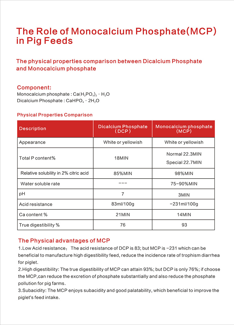 ����Ӣ����վ��1